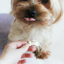 Custom Personalized Engraved Tag Aluminum Dog Tag Cat Tag Name ID Phone Tags
