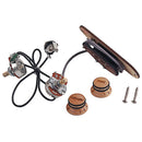 3 String Cigar Box Guitar Pickup Amplifier with Input Jack Cable String