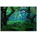 3*5ft Green Jungle Forest Photography Backdrop Studio Props Photo Backgroun F8A1