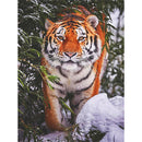 Tiger Full Drill Diamond Painting DIY Mosaic Bead Kit Picture (FA5-4538)