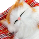 Car Ornaments Cute Simulation Sleeping Cats Decoration Automobiles Lovely P