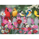 5D DIY Full Round Drill Diamond Painting Bird Cross Stitch for Gift (B1035)