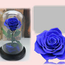 Glass Cover Fresh Preserved Rose Flower Barbed Rose Flores For Wedding Marr