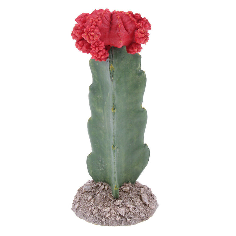 Set of 2, Plastic Terrarium Bamboo Leaf & Cactus Plant Animals Habitat for