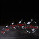 12cm Hanging Flower Plant Garden Vase Bottle Hydroponic Terrarium Container