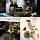Lotus Natural Dried Flowers Bouquet Branch Decorations Floral for Party H-3C