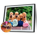 DIY Animal 5D Full Square Drill Diamond Painting Cross Stitch Gift (NF0133)