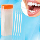 50 Pcs Plastic Toothpicks 2 Way Tooth Picks Interdental Brush Cleaners Port