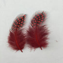 50 pcs Feather of cock Applique Sewing Decor Garment Hat DIY Jewelry 5-10 c A1B9