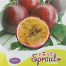 20pcs Tropical Exotic Passion Fruit Seeds Purple Passiflora Edulis GerminationLJ