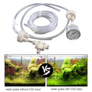 DIY CO2 Generator System Aquarium Water Plant Necessity Diffuser