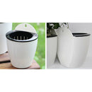 Mini Metal Ladybug Fence Hanger Wall Hanging Outdoor Garden Decor10cm Yellow