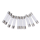 10 Pcs Microwave Ceramic Fuse Electric 20A 250V Home Supplies DIY 6x30mm ME