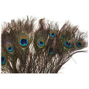 20 pcs Artificial peacock feathers w / Eyes