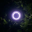 20 LED Solar Ground Lamp Waterproof Outdoor Garden Path Light (4cps White)