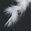 2m Feather Boas Fluffy Craft Costume Dressup Wedding Party Home Decor White