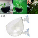 Microcosmic Shrimp Aquarium Tank aquatic Crystal Glass Plant Decor Cup Cute R1V8