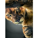 5D DIY Full Drill Diamond Painting Tiger Cross Stitch Mosaic Kits (W592)