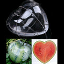 Big Size Plastic Clear Heart Watermelon Growing Mold Transparent Fruit Grow Q7A4