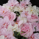 Artificial Rose Flower Wall Spring Flower Backdrop Pink+White