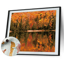 DIY Digital Oil Painting By Numbers Kits Autumn Woods Drawing Picture Art