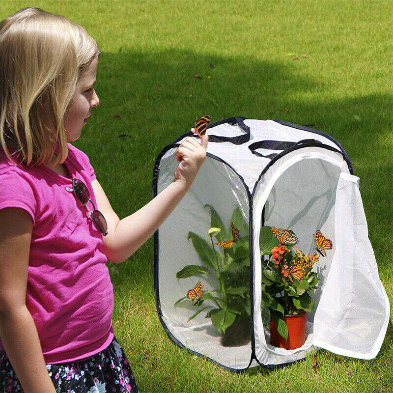 Insect and Butterfly Habitat Cage Terrarium Pop-up 23.6 Inches Tall (White  P3Y9
