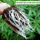 Plant fast rooting powder strong germination aid rapid Hot growth K0Q8