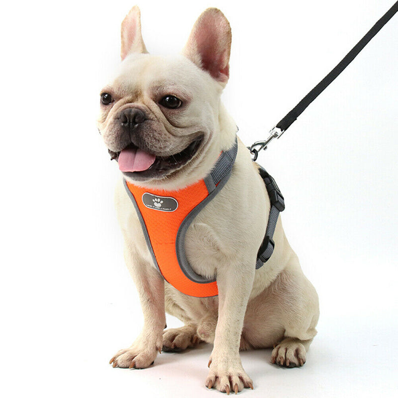 Reflective Vest Dog Chest Strap Breathable Pet Harness Leash Set (Orange M) A