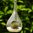 Taper Hanging Glass Flowers Planter Vase Terrarium Container Home DIY Decor
