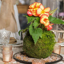 Set of 2 Artificial Moss Flower Pot, Decorative Faux Green Moss Covered Planters