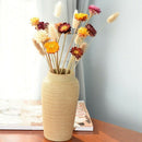 20Pcs Dried Flower Daisy Natural Artificial Flower Colorful Chrysanthemum O R6Z1