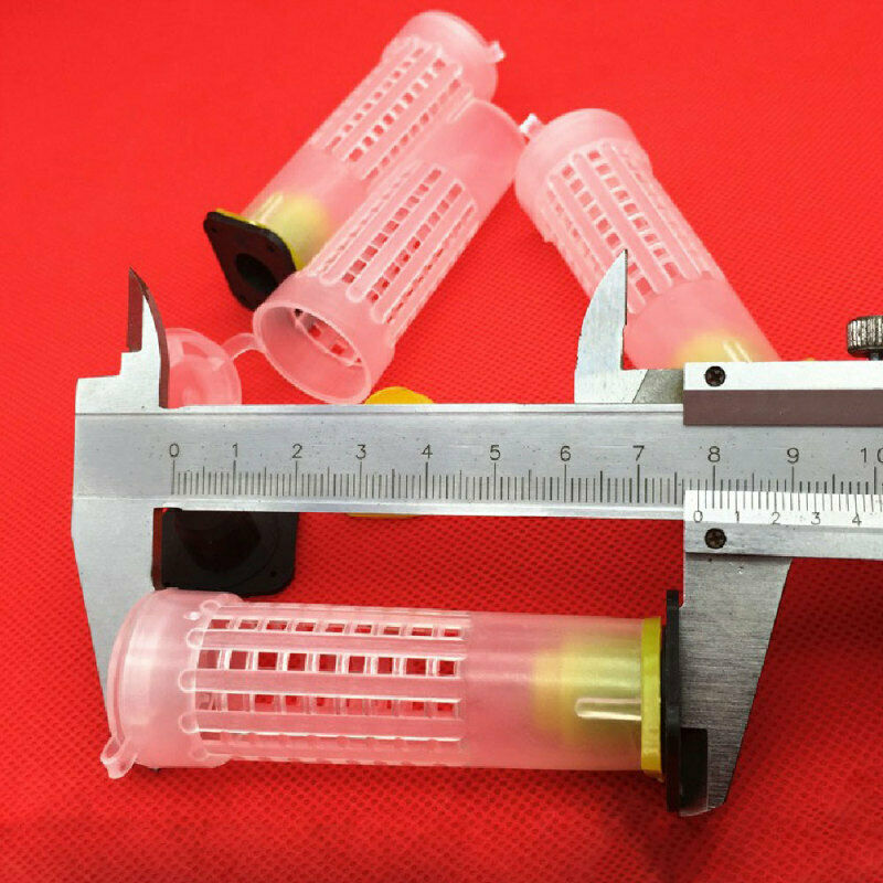 Beekeeping Rearing Cup Kit Plastic Essential 30PCS Queen Bee Roller Beekeeper