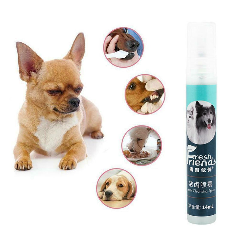 Hygiene Dental Care Liquid Pet Oral Spray Pet Mouth Cleaning Sterilize Clean