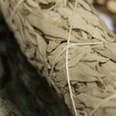 2Pcs American California White Sage Smudge Stick Wisp Sage Plant for Room P E3H3