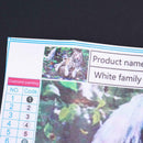 Diamond Embroidery DIY Diamond Painting White Tiger Family Cross Stitch