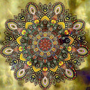 5D Diy Round Diamond Painting Cross Stitch Flowers Colorful Mandala Diamond H4Z4