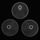 3pcs Transparent Plastic Funnels Filling Mini Bottles Liquid Water Perfume
