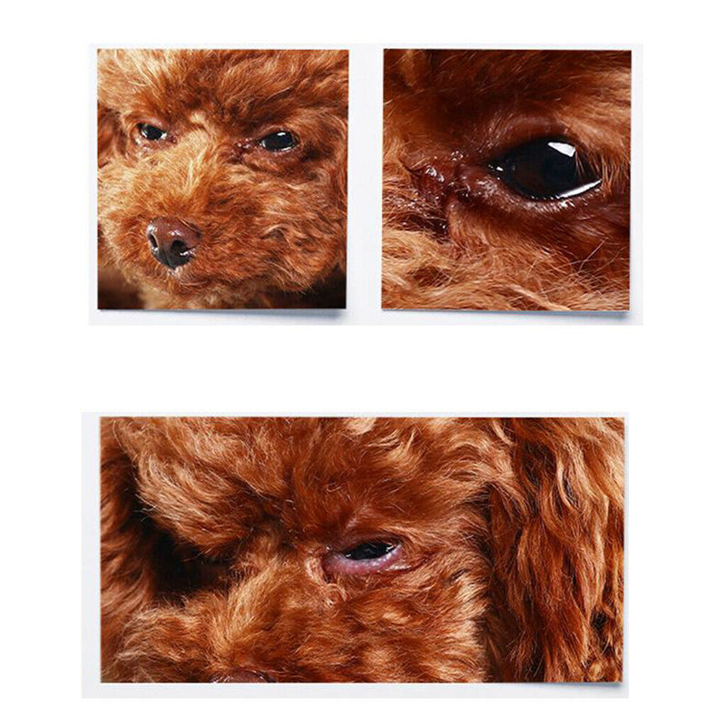 Professional Grooming Pads Pet Wipes and 60ml Ear Drops for Dog Cat Ear Care