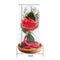 Birthday Gift Beauty And The Beast Red Rose With Fallen Petals In A Glass D S9L4
