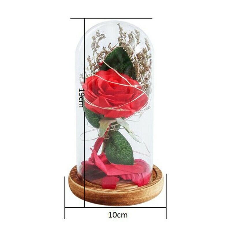 Birthday Gift Beauty And The Beast Red Rose With Fallen Petals In A Glass D S9L4
