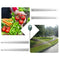 Soil Moisture Sensor Meter - Soil Water Monitor, Hydrometer for Gardening,