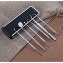 6pcs/set Stainless Steel Dental Tools Tooth Dentist Hygiene Explorer Probe