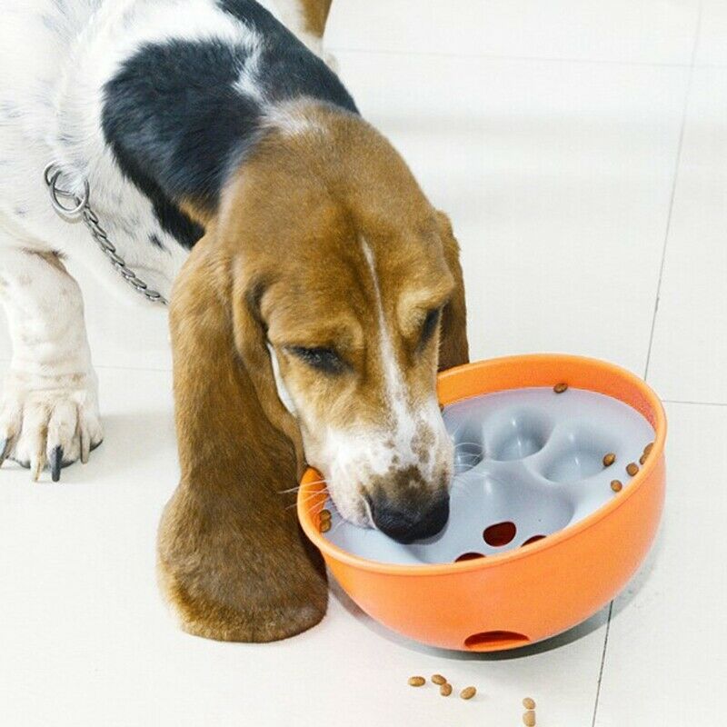 Bowl Puzzle Feeder Dog Bowl - Interactive Enrichment Dog Dish - Slow Feeder
