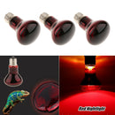 3 Pcs E27 Base Reptile Terrarium UVA Infrared Heat Light Bulb Nightlight 75W