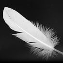 100pcs White Feathers Goose Craft for Party Hat Crafts Wedding Decoration 1