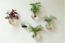 Flower Plant Wall Hanging Clear Glass Vase Bottle Pot Garden Hexagon Decor
