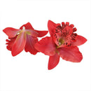 20x Red Artificial Silk Orchid Dendrobium Flower Heads Wedding Decor