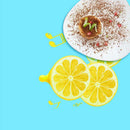 Small Fresh Lemon Photography Backdrops Studio Home Decor Photo Background