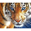 Tiger Diamond Embroidery 5D Diamond DIY Painting Craft Home Decor