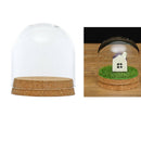 8x8&6.5x10cm Glass Dome Cover Cloche Jar Succulent Terrariums with Wood Cork